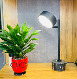 چراغ مطالعه پایه سنگ کد T307